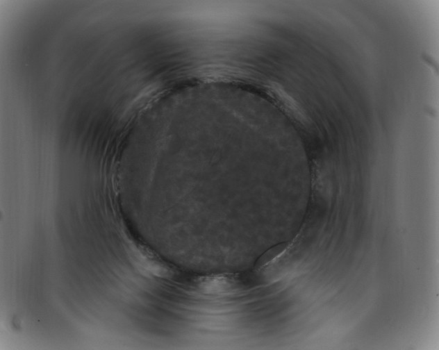 X0000097510074200803071834