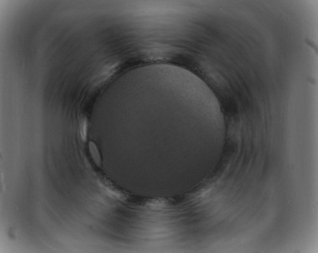 X0000097510076200803071834