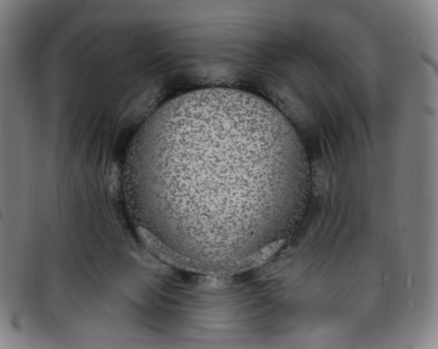 X0000097510077200803071834