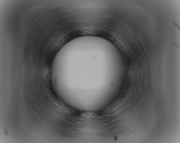 X0000097510079200803071834