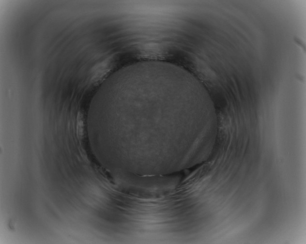 X0000097510080200803071834