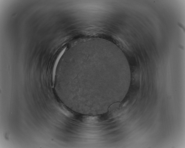 X0000097510081200803071834