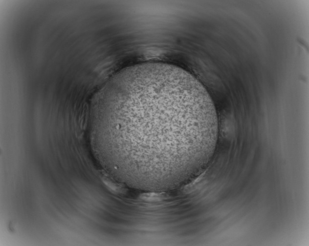 X0000097510082200803071834