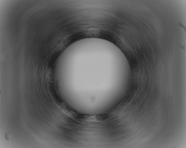 X0000097510083200803071834