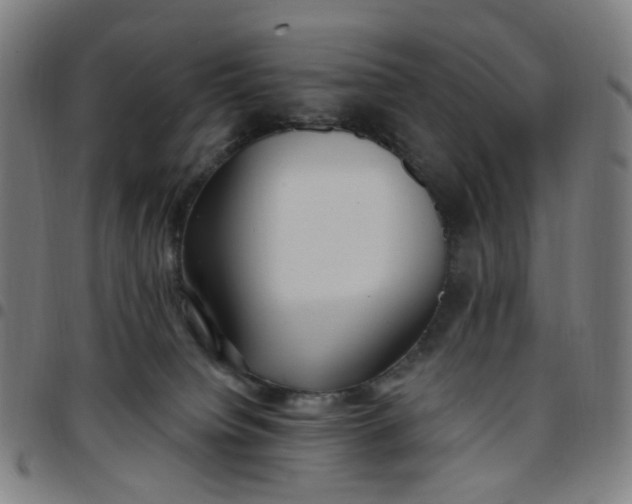 X0000097510084200803071834