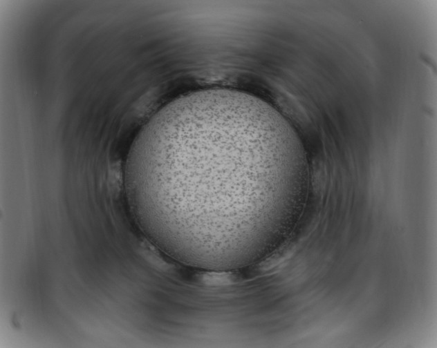 X0000097510085200803071834