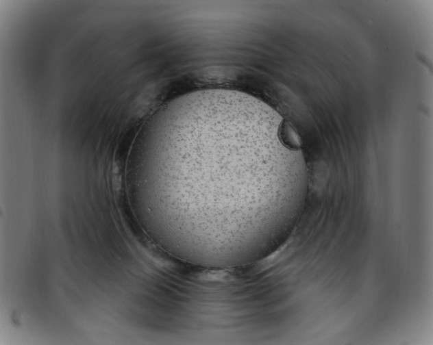 X0000097510086200803071834