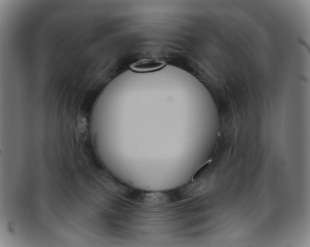 X0000097510087200803071834