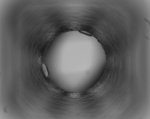 X0000097510088200803071834