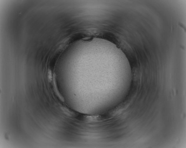 X0000097510089200803071834