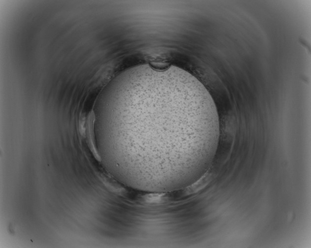 X0000097510090200803071834