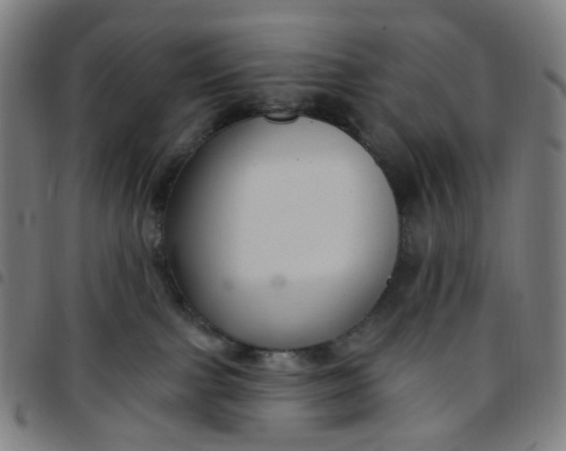 X0000097510091200803071834