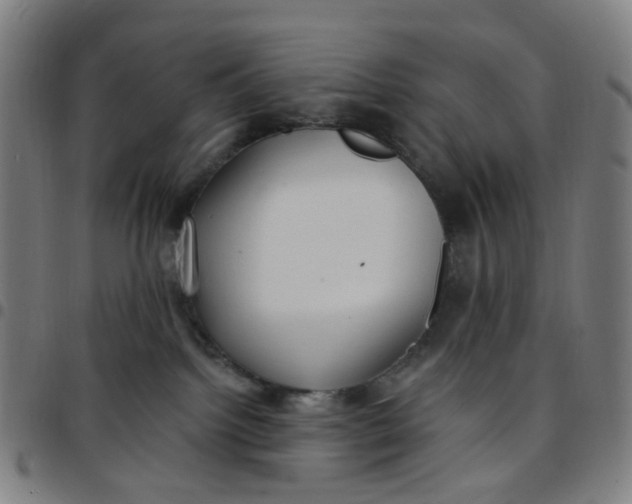 X0000097510092200803071834