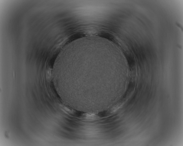 X0000097510093200803071834