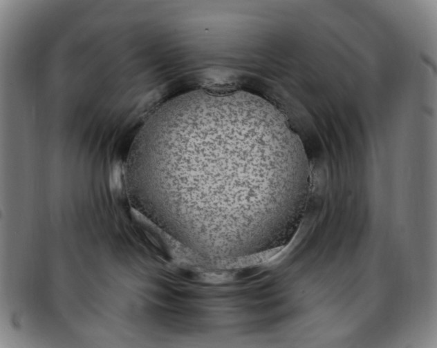 X0000097510094200803071834