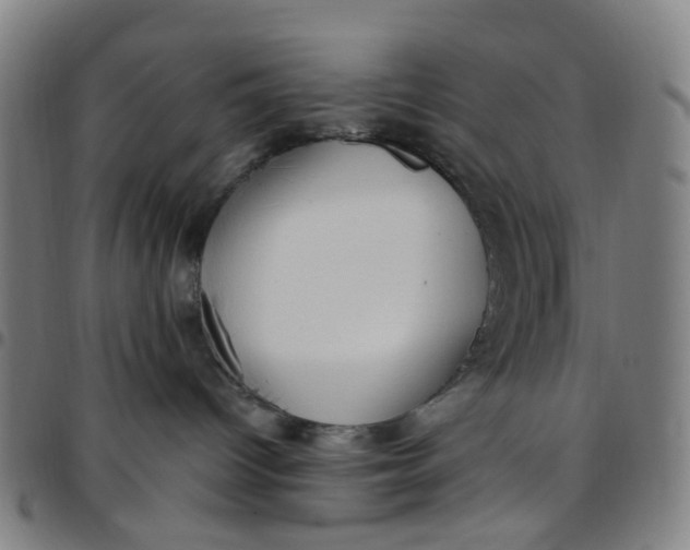 X0000097510096200803071834