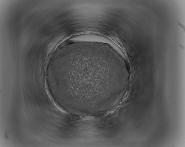 X0000097510097200803071834