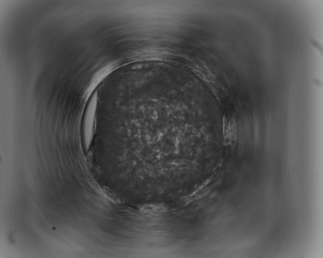 X0000097510099200803071834