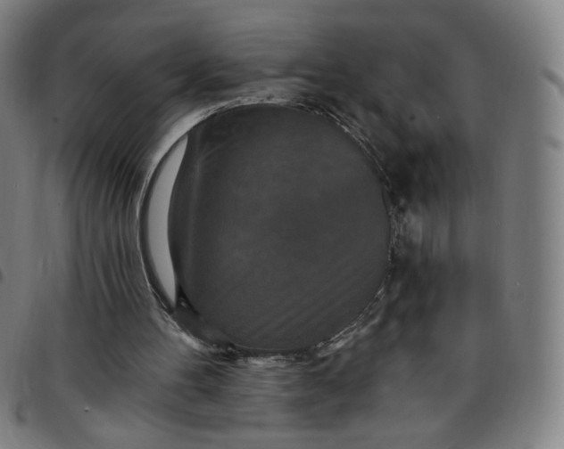 X0000097510100200803071834