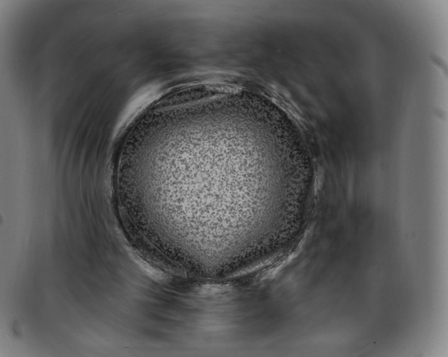 X0000097510101200803071834