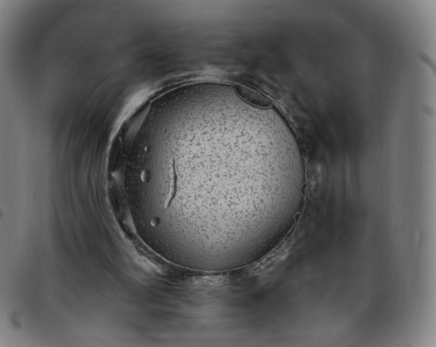 X0000097510102200803071833