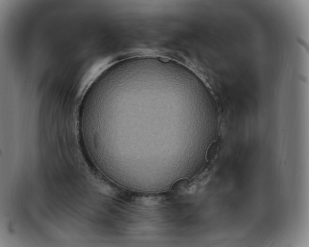 X0000097510103200803071833