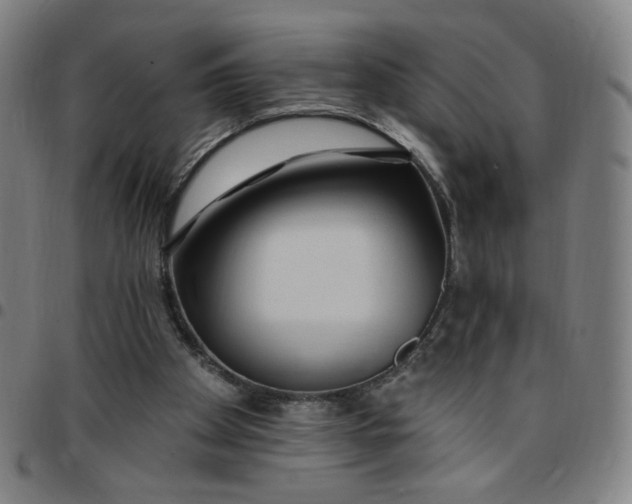 X0000097510105200803071833