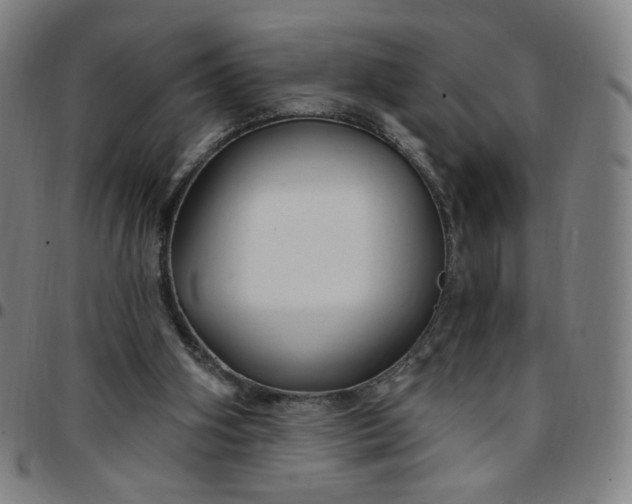 X0000097510106200803071833