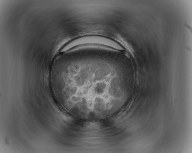 X0000097510107200803071833