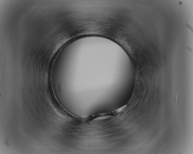 X0000097510108200803071833