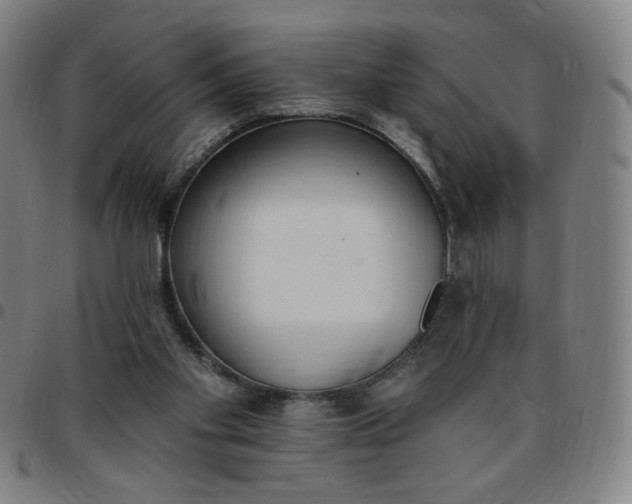 X0000097510109200803071833