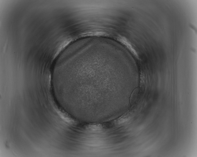 X0000097510110200803071833