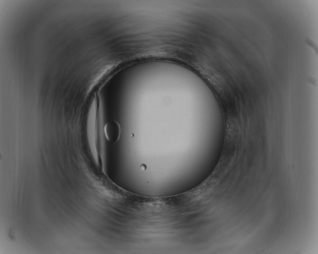 X0000097510112200803071833