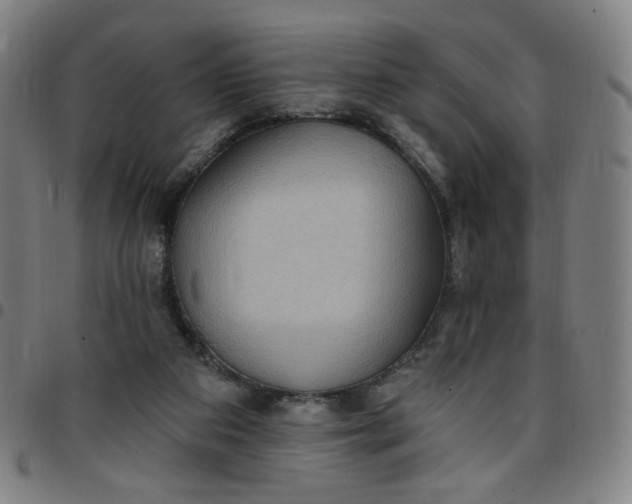 X0000097510113200803071833