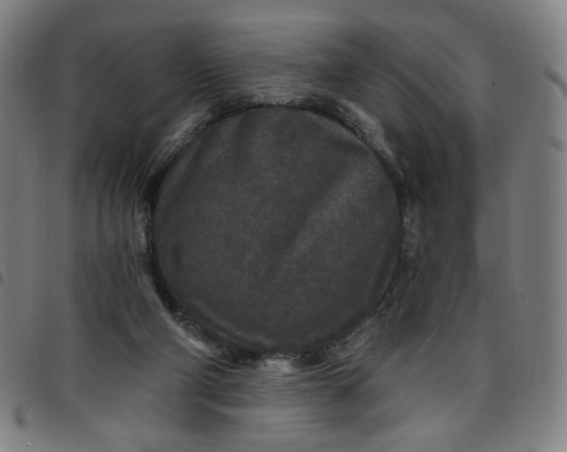 X0000097510114200803071833