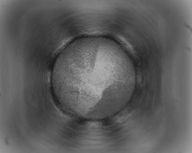 X0000097510115200803071833