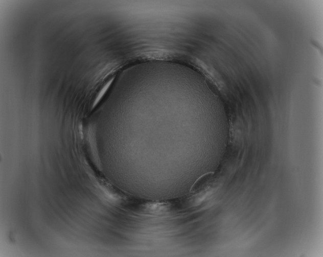 X0000097510117200803071833