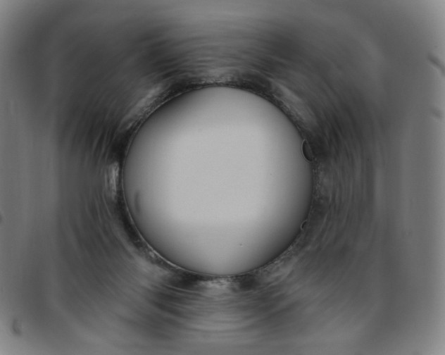 X0000097510118200803071833