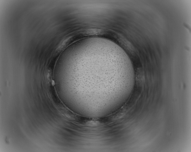 X0000097510119200803071833