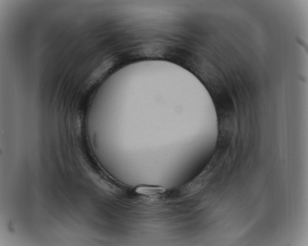 X0000097510120200803071833