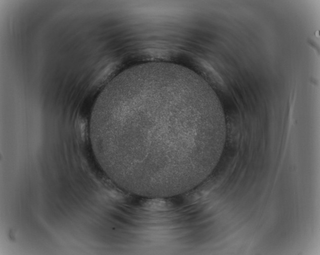 X0000097510123200803071833