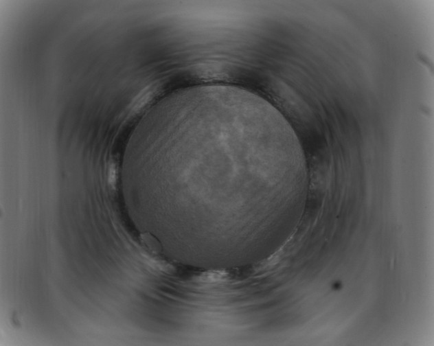 X0000097510124200803071833