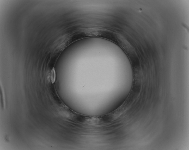 X0000097510125200803071833