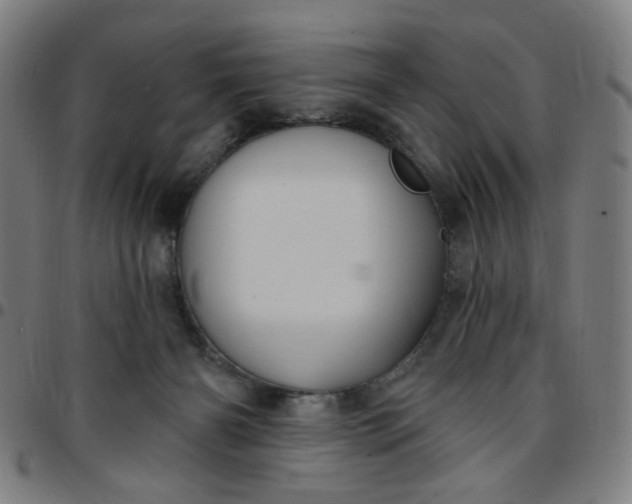 X0000097510126200803071833