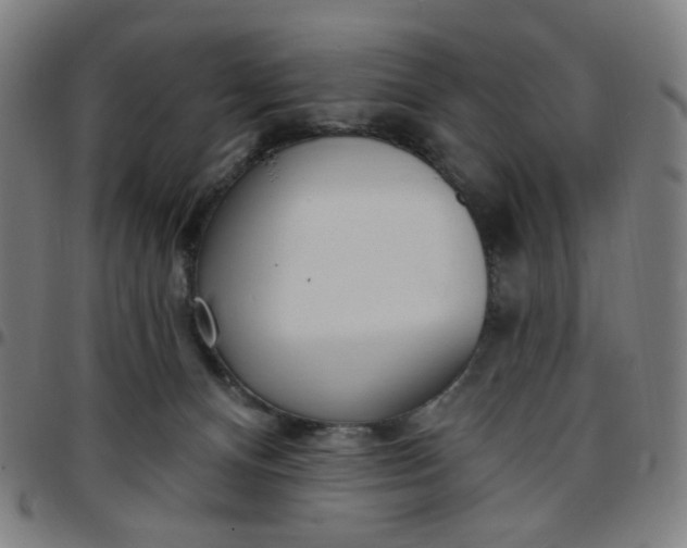 X0000097510128200803071833