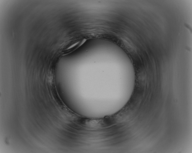 X0000097510129200803071833