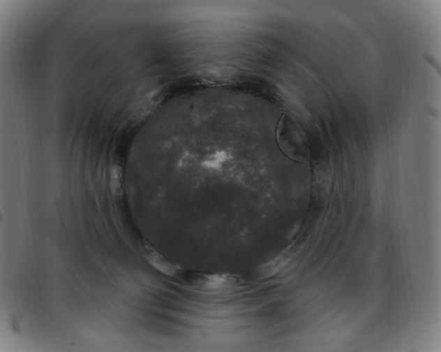 X0000097510130200803071833