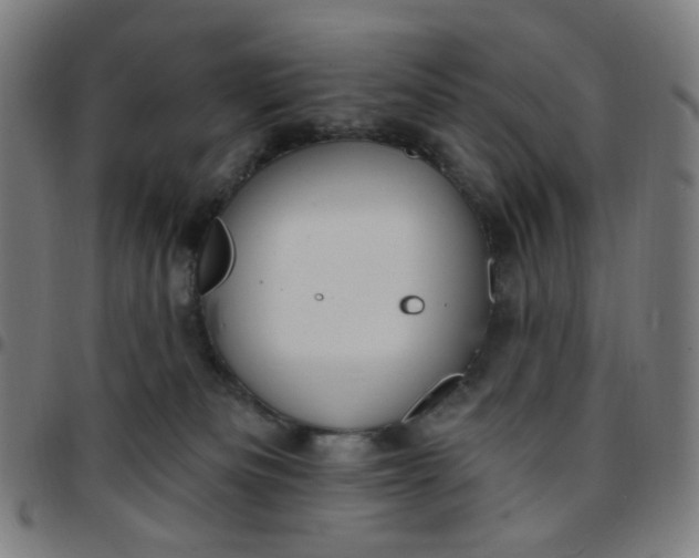 X0000097510133200803071833