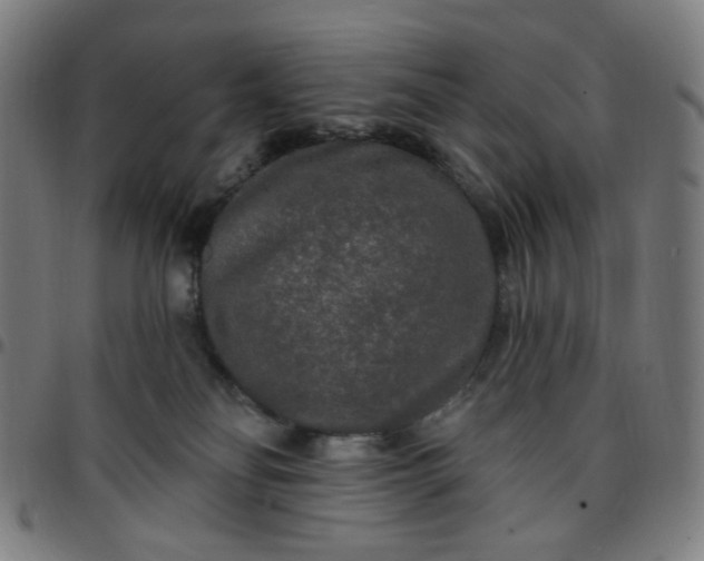 X0000097510134200803071833