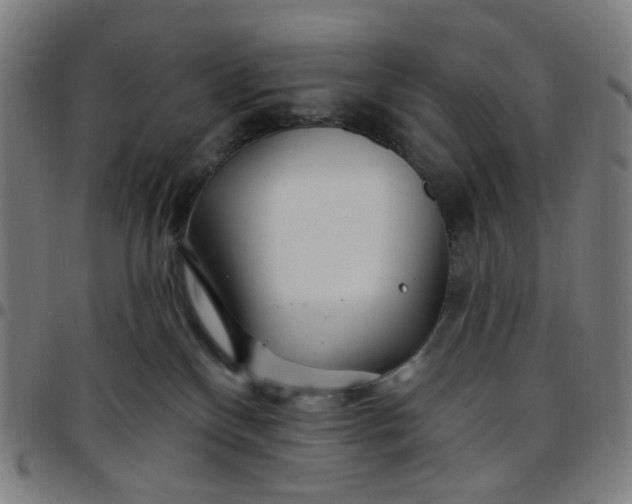 X0000097510136200803071833